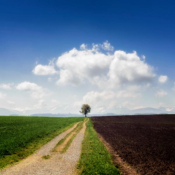 Alleinstellungsmerkmal