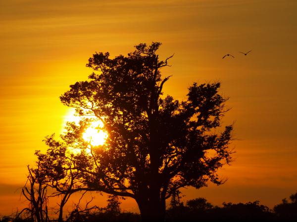 Sonnenuntergang