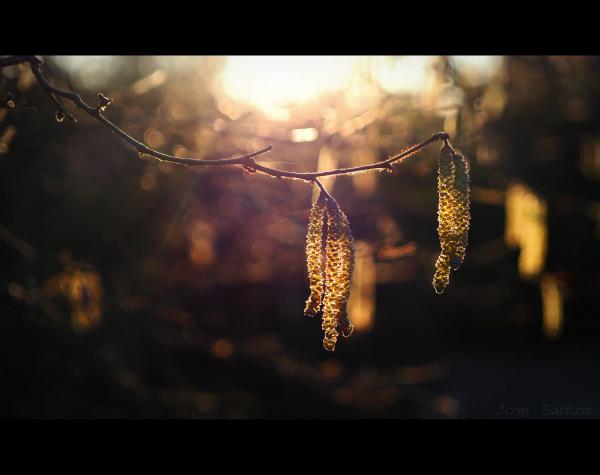 deep in light