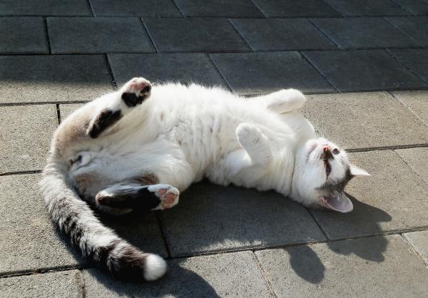 unser Sonnenschein...