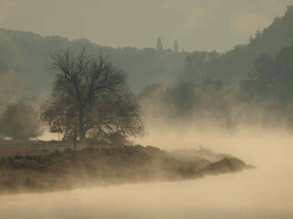 Elbe im Nebel