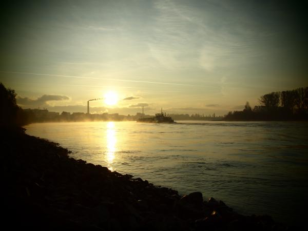 Herbst am Rhein 2