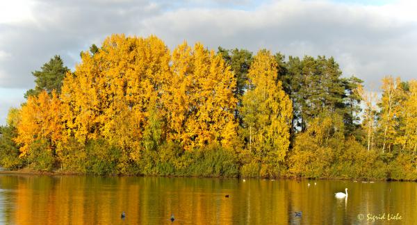 Hiltruper See im Herbst