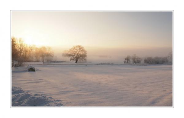 Morgenstimmung