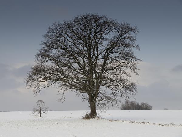 Winter im Chiemgau