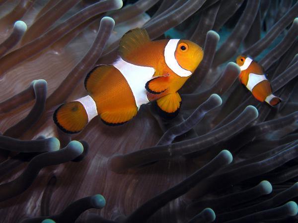 Ergänzung zu Augenblick