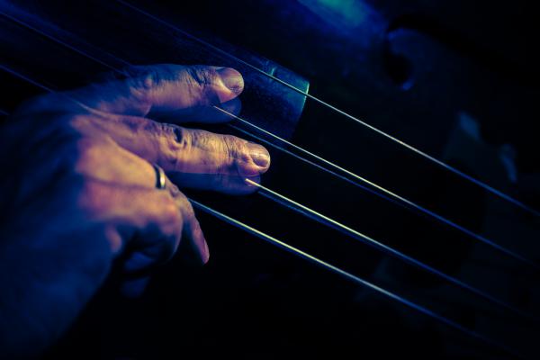 double bass