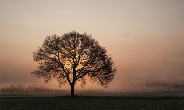 früh am Morgen (2)