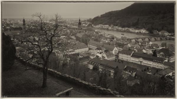 Heidelberg - Blick vom Schloß auf die Altstadt