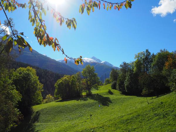 Herbstspaziergang im Wallis
