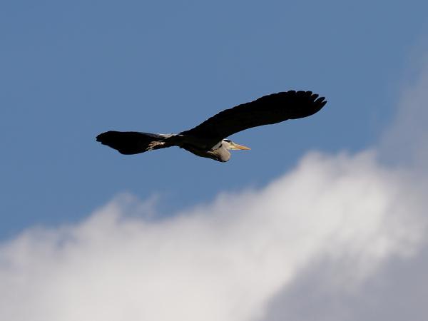In the air ...