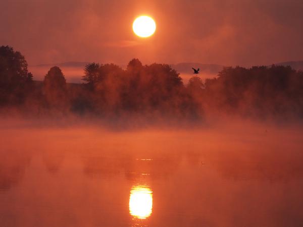 Seeburger See ...