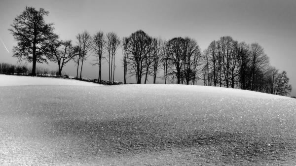 Winterreste