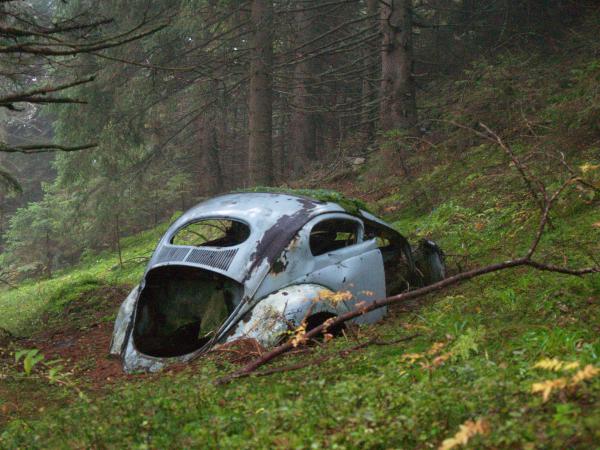 Im Wald
