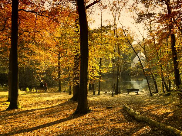 Herbst in Paesmühle