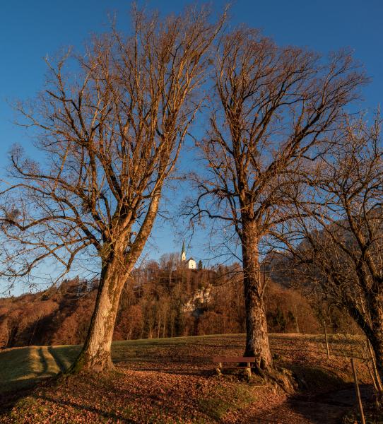 Nikolauskirche
