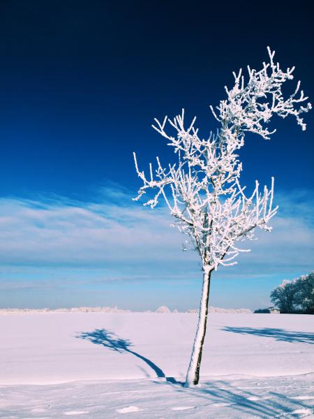 Es ist Winter!