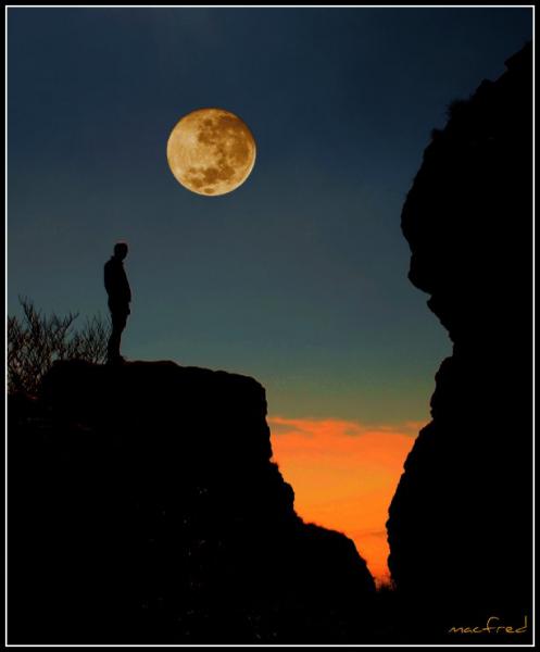 yellow moon
