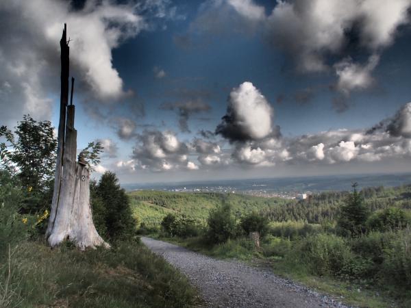 Baum (Teil 2: Dramatic tone)