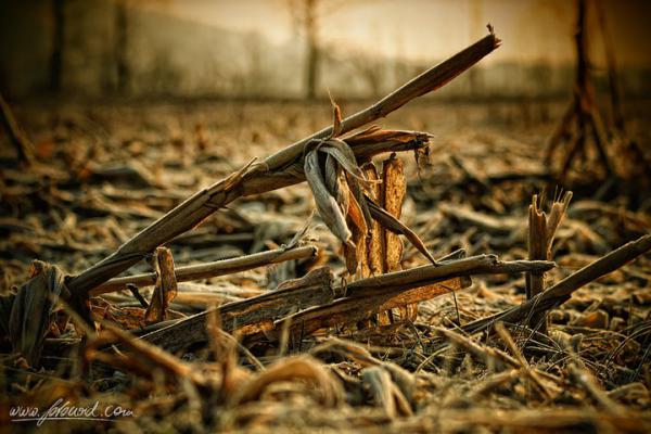 :.. guten morgen ..: