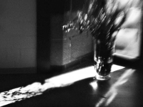 Vase am Fenster (Fensterserie No. 7)