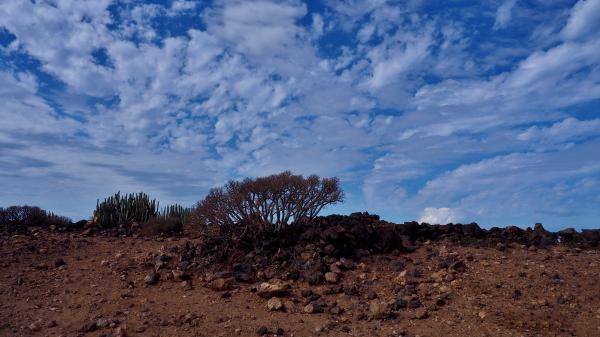 Wolkenformationen in Weiß auf stahlblauem Himmel über ausgetrocknetem Buschland auf Teneriffa