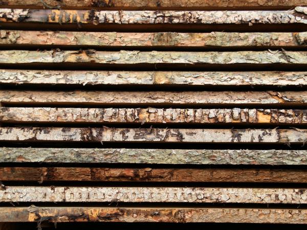 holz vor der hütte