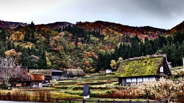 Herbst in den japanischen Alpen (2)