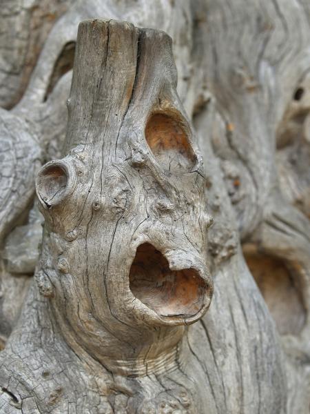 Holzkopf