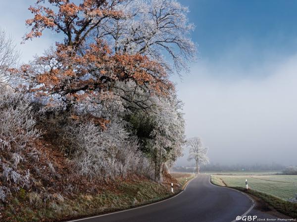 Dezember-Landschaft