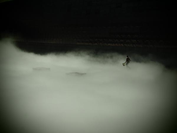 Der Nebelfischer