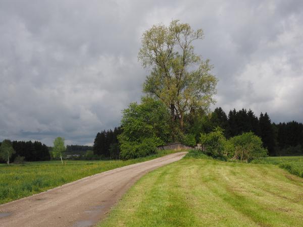 Spaziergang