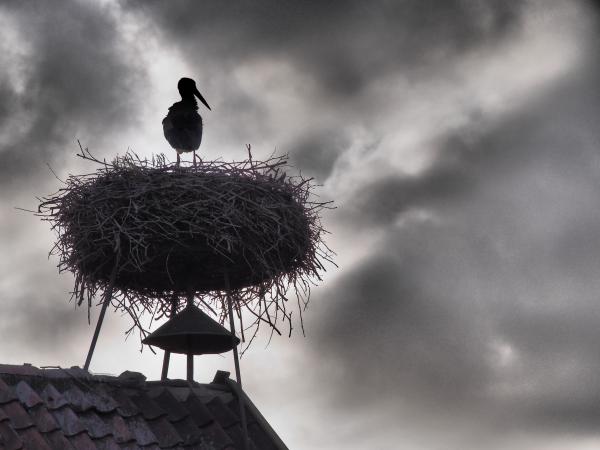Pfingstwetter