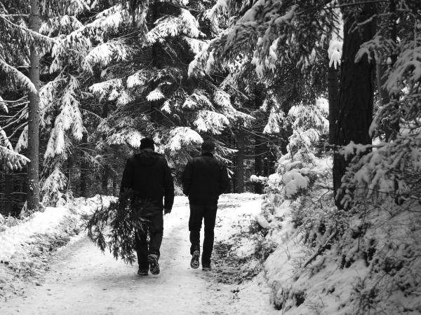 Stille