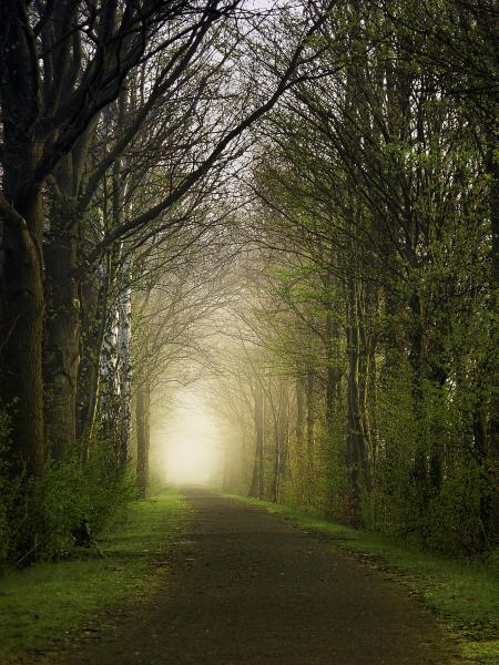 Weg ins Nichts