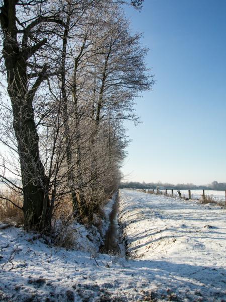 Winter in Niedersachsen - Winsen Luhe - in Farbe