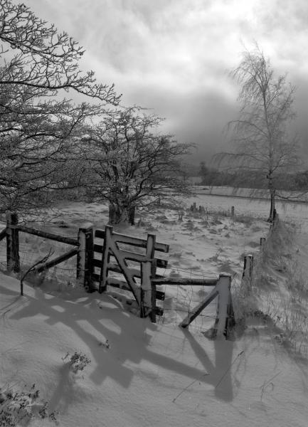 Wintergarten
