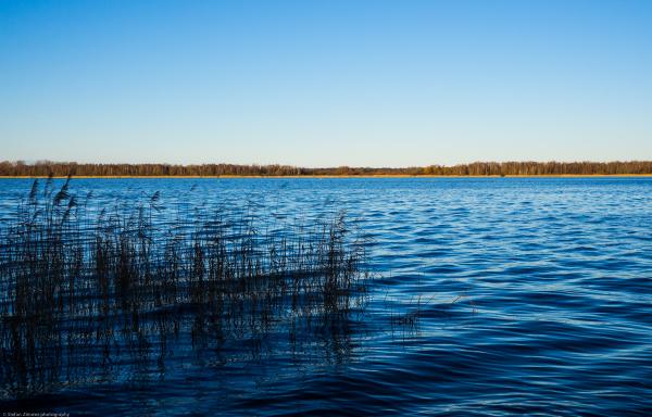 Saaler Bodden 1