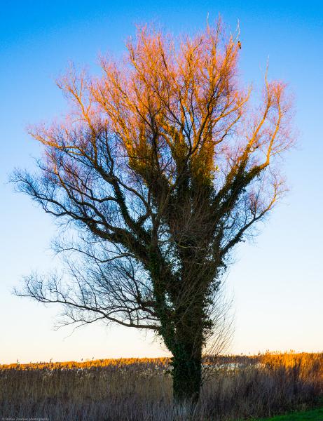 saaler Bodden 4