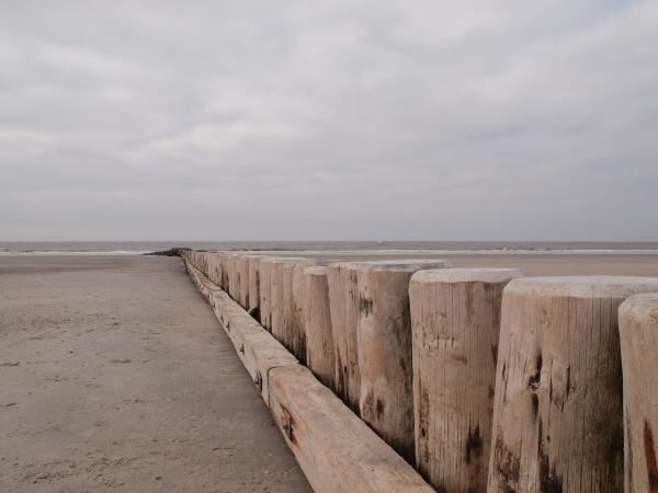 Frisch "polierte" Holzdune