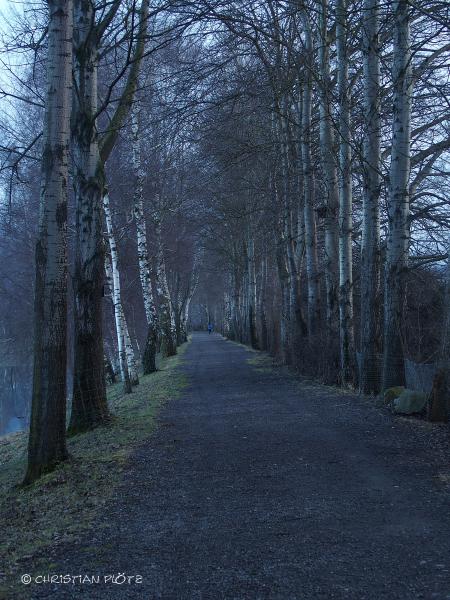 Spaziergang - Januar 2015