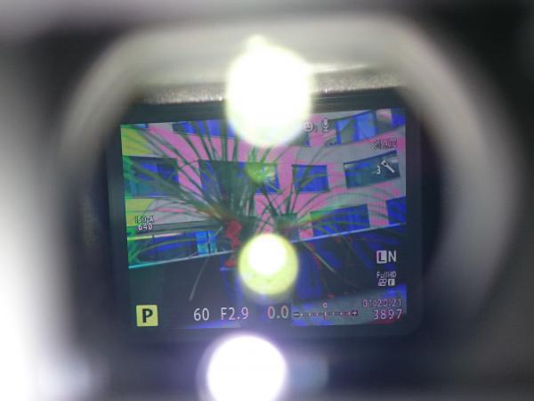 Farbfehler im Sucher E-M10