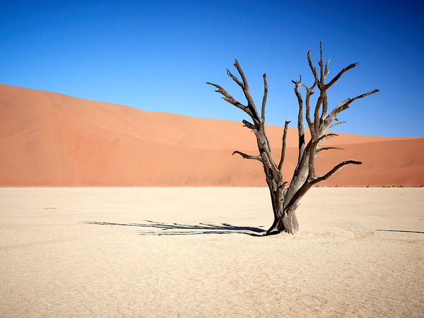 Viel Sand.