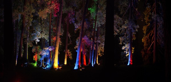 DC207554_stitch.jpg