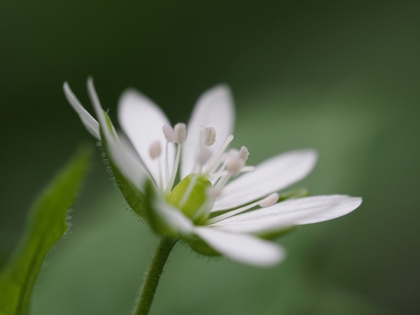 PA264490.JPG