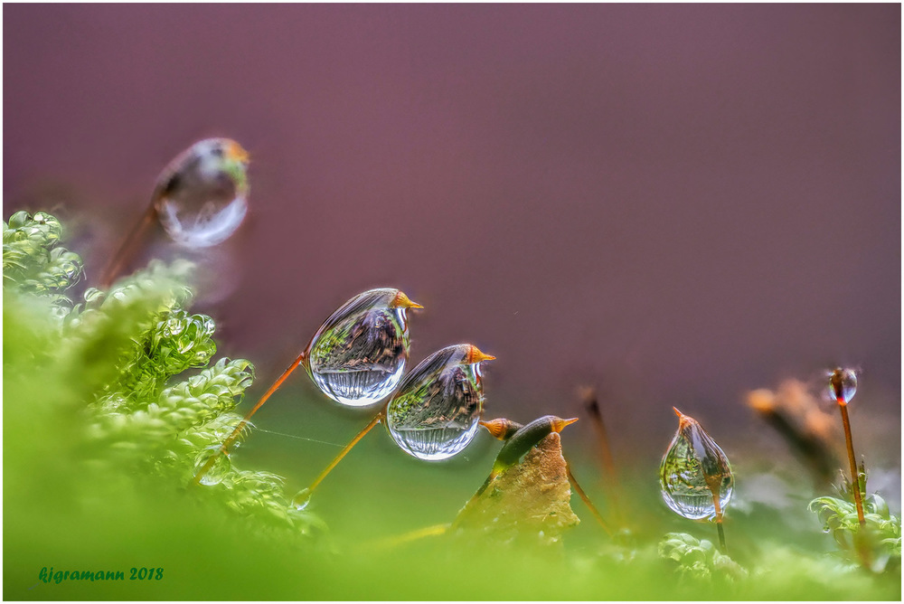 winterimpression......