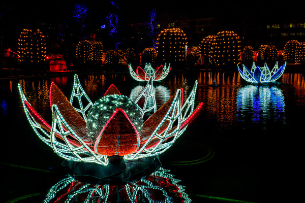 Christmas Garden