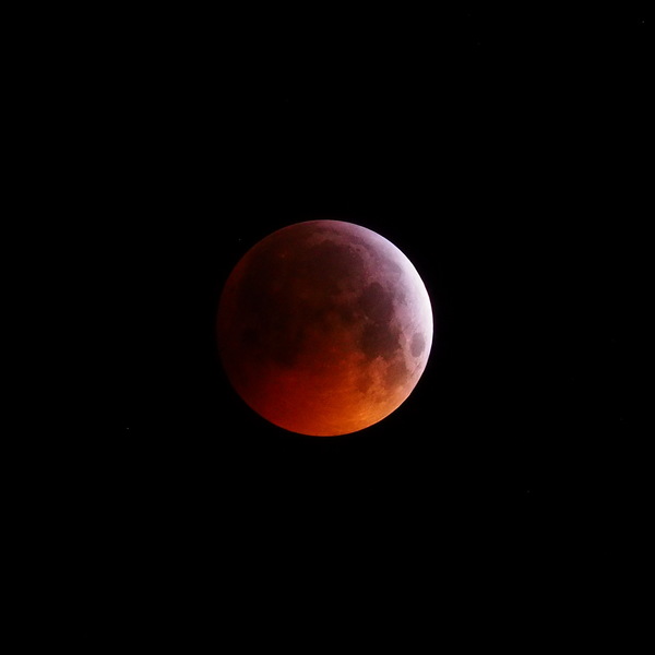 MyMoon 2019