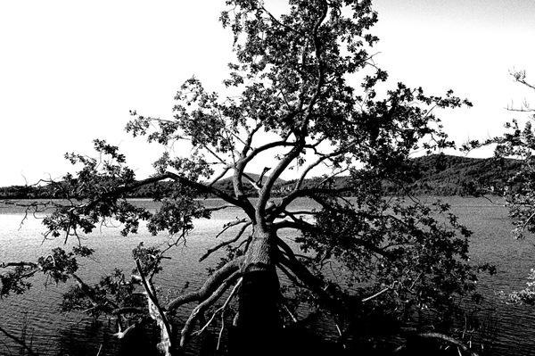 P9020092xx.jpg