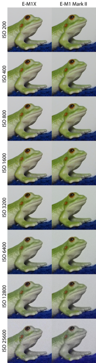 Sensorvergleich_E-M1X-E-M1II_Ausschnitt-2_0.thumb.png.af552f5c567c0ec1da5df3b63b6d6547.png